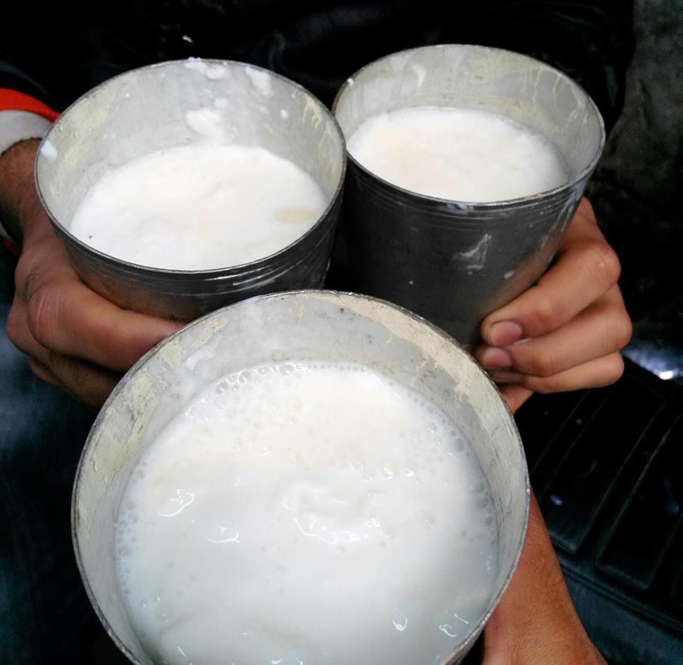 Jedda Lassi